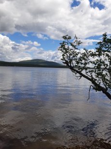 Jerisjärvi Äijäniemestä katsottuna 